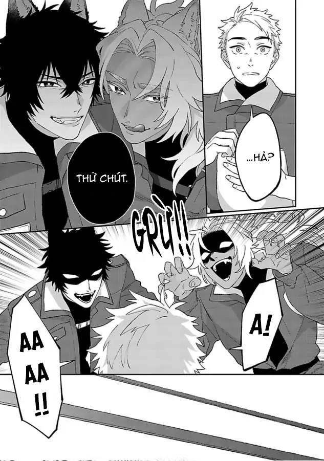 Hai Chú Chó Rắc Rối Chapter 2 - Trang 2