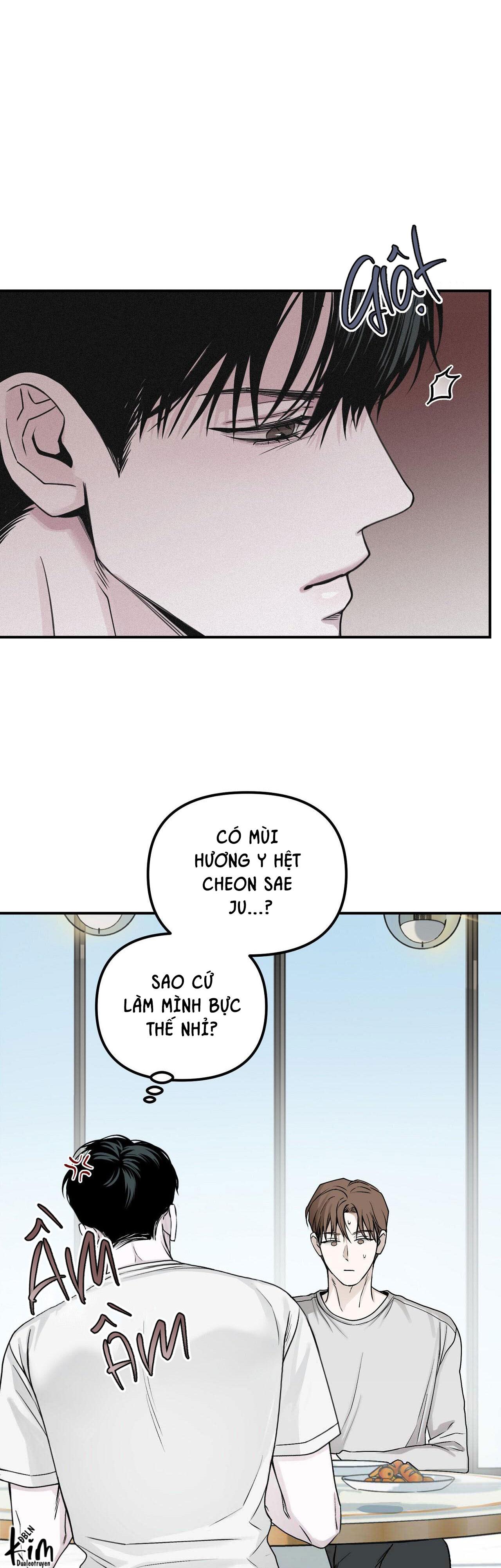 PROJECTION Chapter 37 - Next 