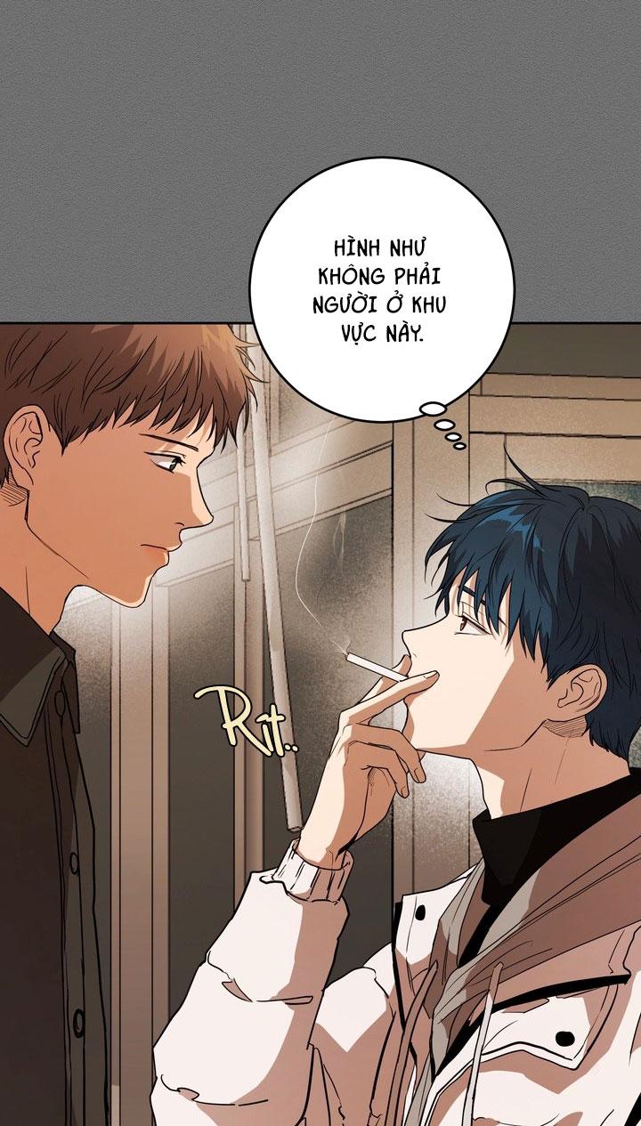 BÁNH QUY TÌNH YÊU TAN CHẢY Chapter 37 - Next 