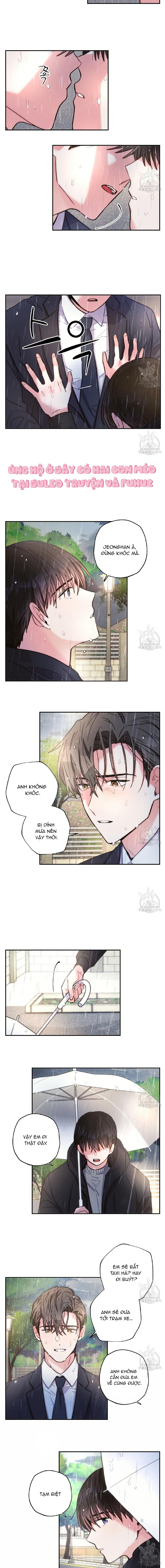 Mưa Giông Chapter 59 - Next Chapter 60