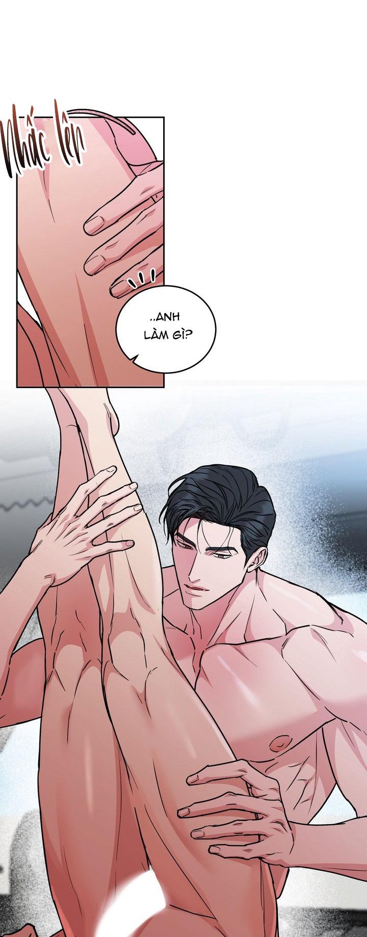 CHÓ VÀ CHIM Chapter 52 - Next Chapter 53