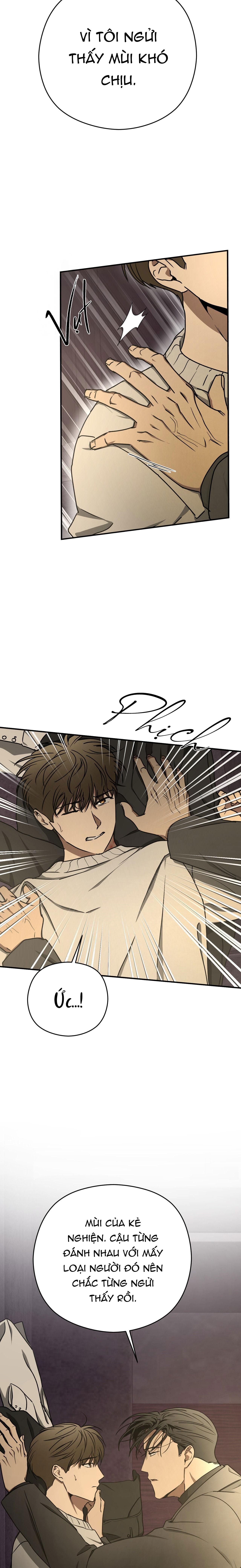 ĐỘC XÀ Chapter 27 - Next 