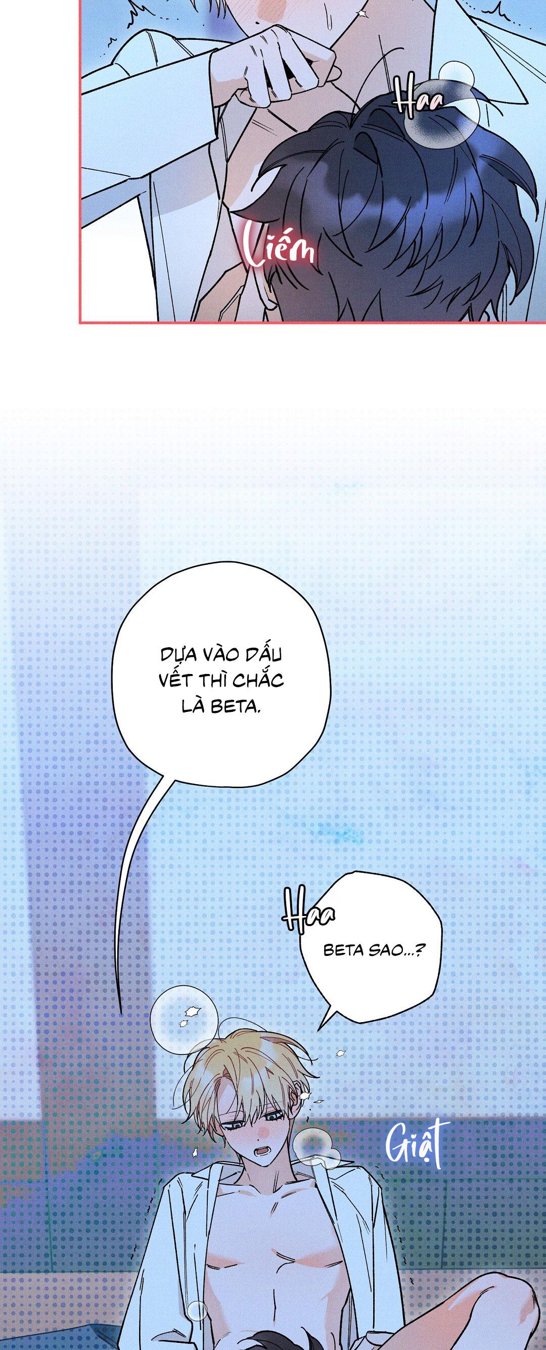 HOÀNG TỬ HƯ HỎNG CHE GIẤU MÌNH LÀ OMEGA Chapter 70 - Next Chapter 71