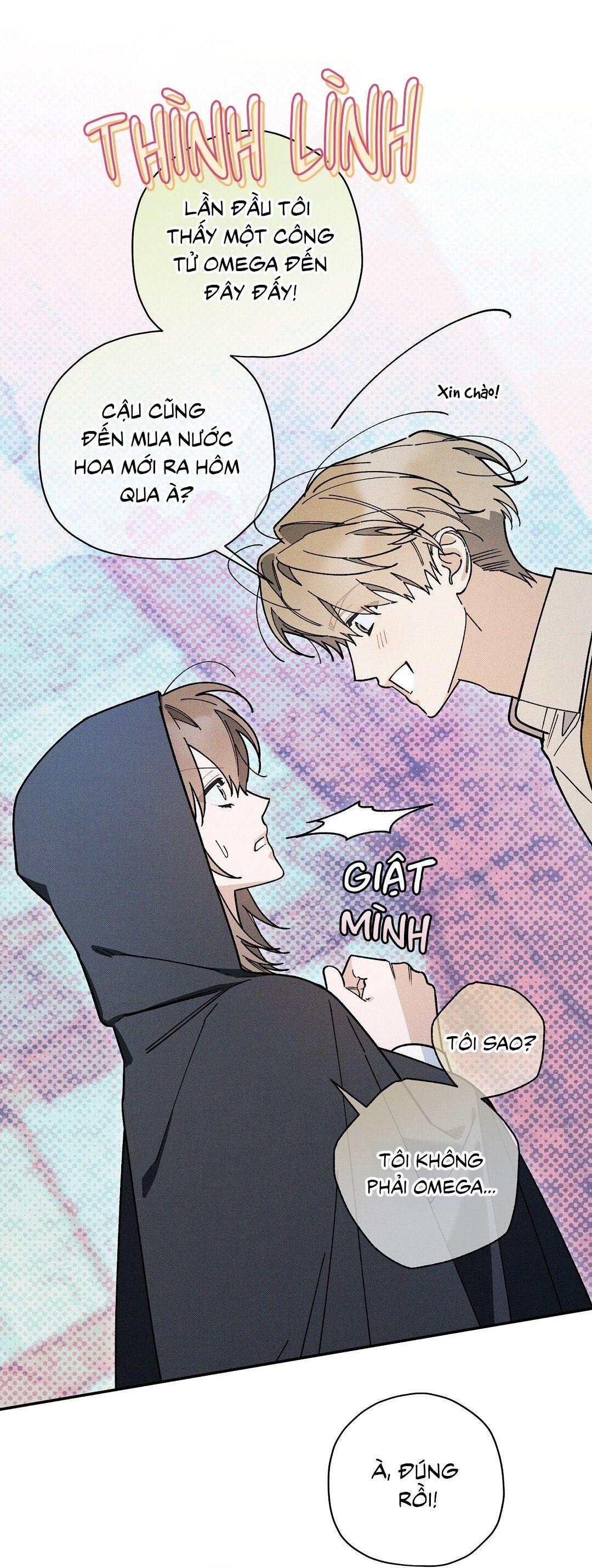 HOÀNG TỬ HƯ HỎNG CHE GIẤU MÌNH LÀ OMEGA Chapter 72 - Next Chapter 73