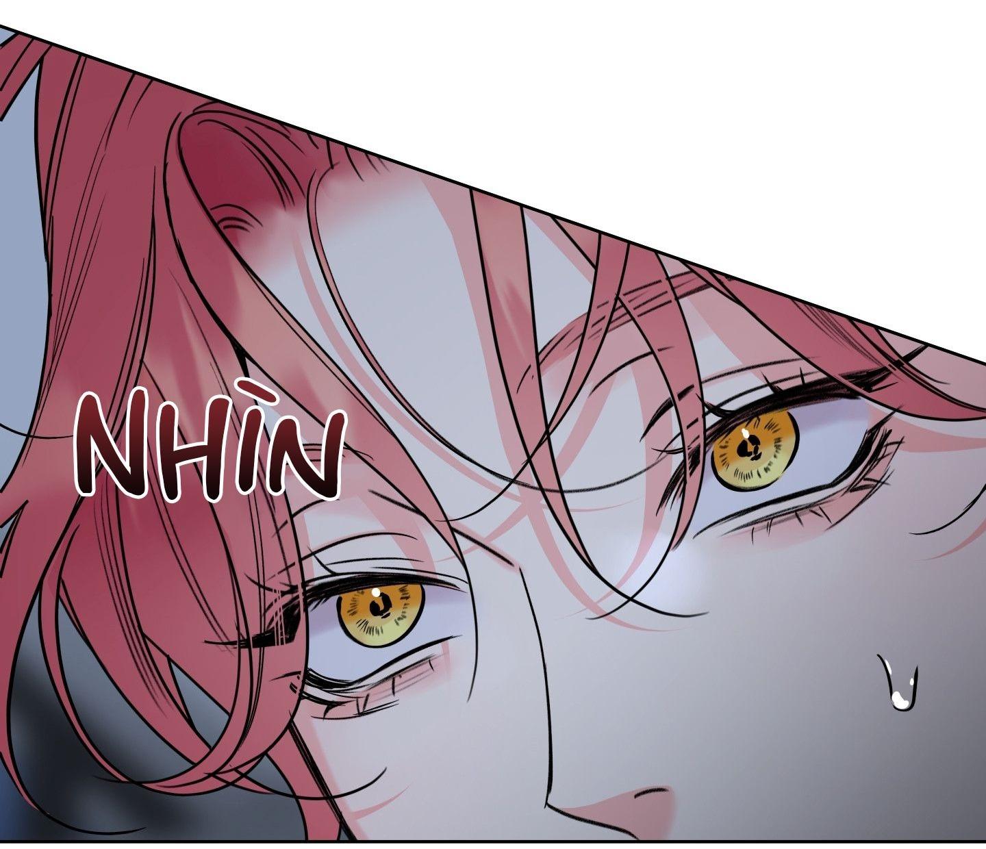 HONEY TROUBLE Chapter 43 - Next 