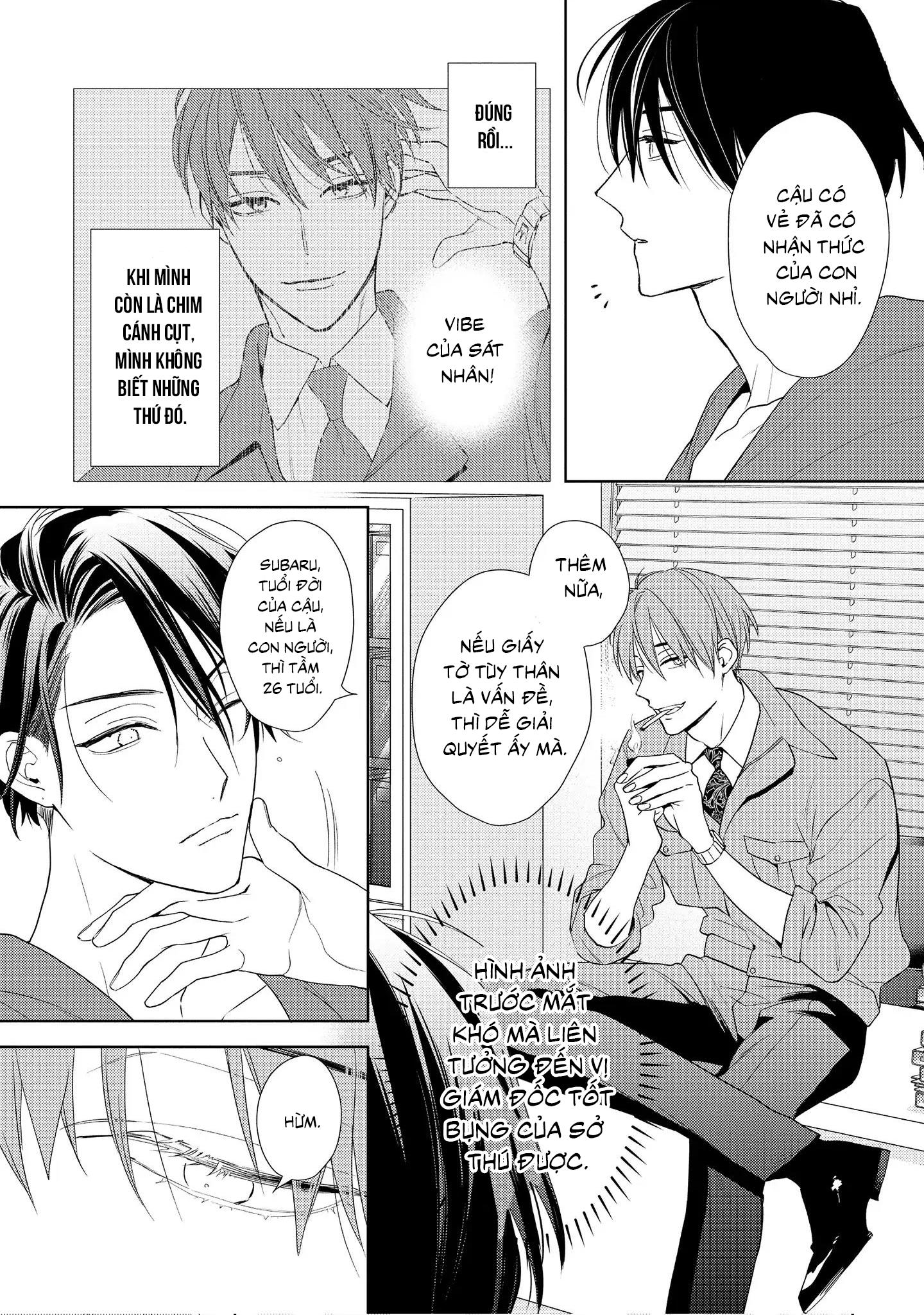 Đêm Diệu Kỳ Chapter 1 - Next 