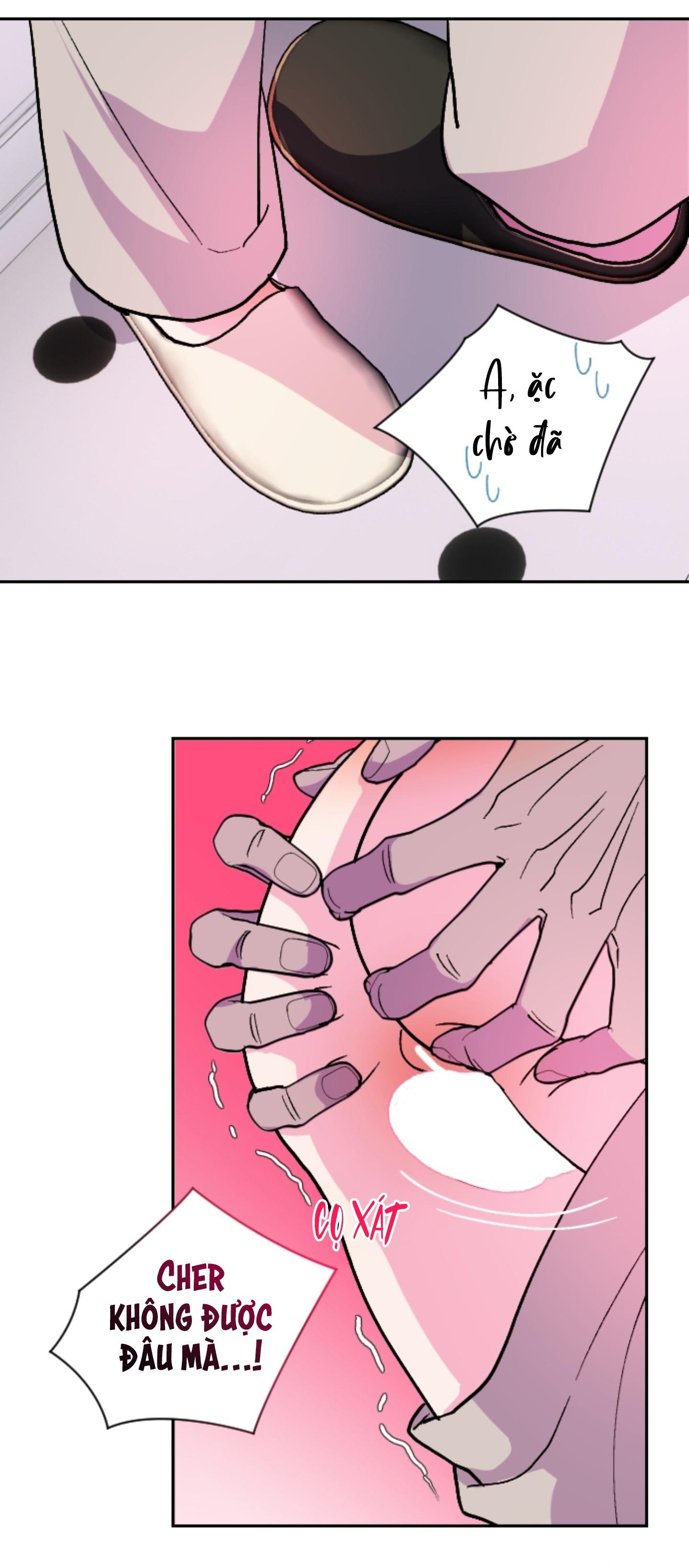 CÁ MẬP VÀ CÔ DÂU THỎ Chapter 55 - Next 