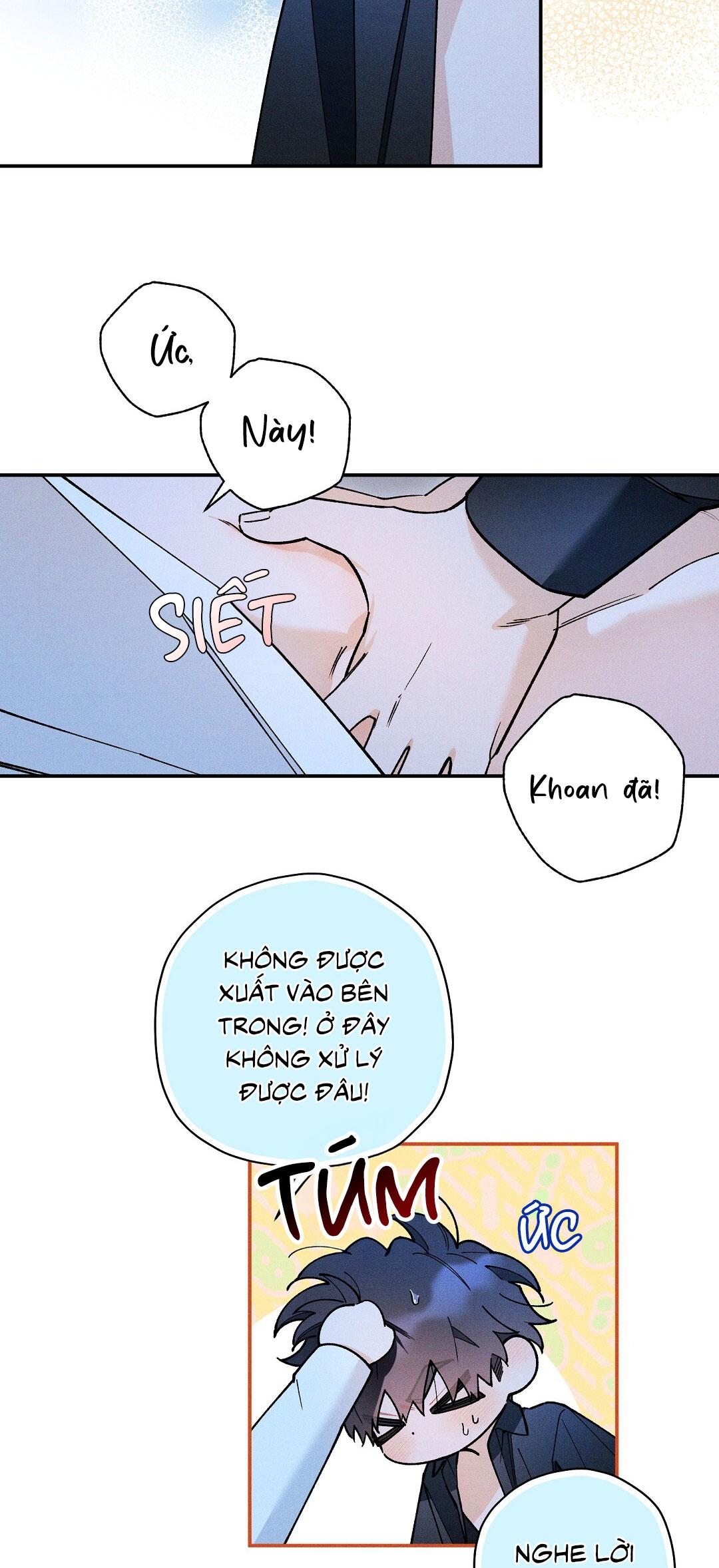 HOÀNG TỬ HƯ HỎNG CHE GIẤU MÌNH LÀ OMEGA Chapter 70 - Next Chapter 71