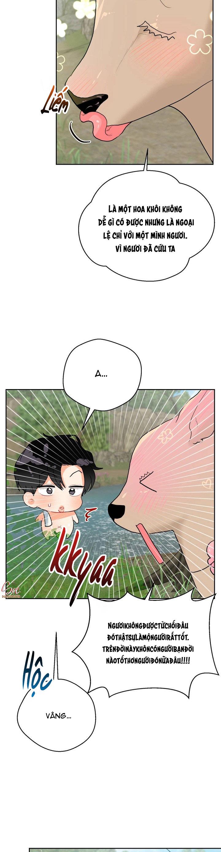 (AxB) OMEGA CỦA ANH TRAI Chapter 17 - Next 