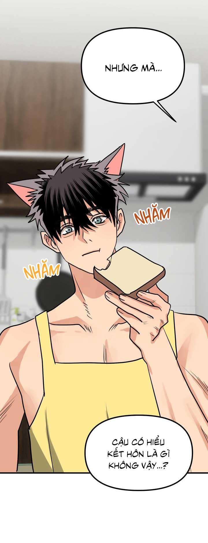 TỔNG HỢP MANHWA BL NGẮN Chapter 1.2 - Next Chapter 1.3