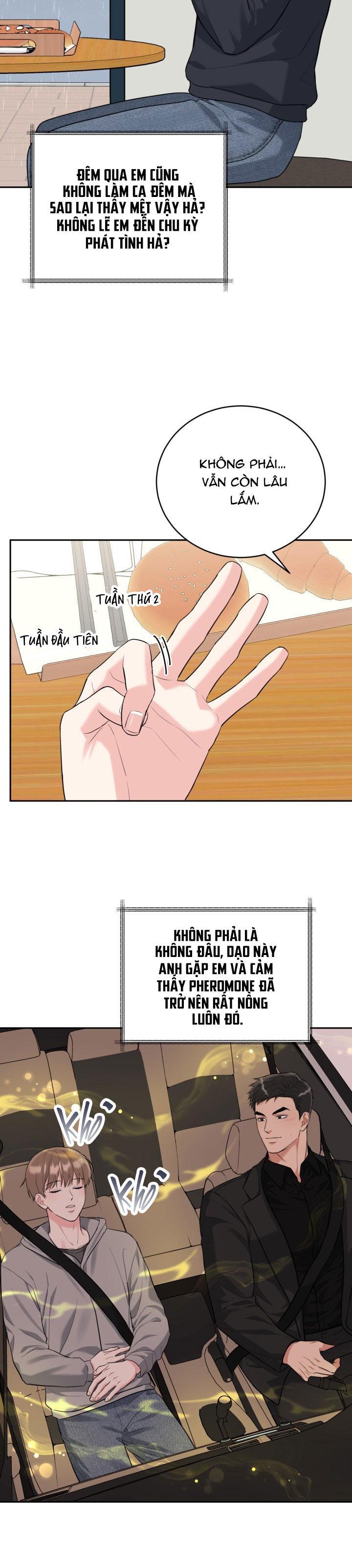 (ABO) HANG HỔ Chapter 67 - Trang 2