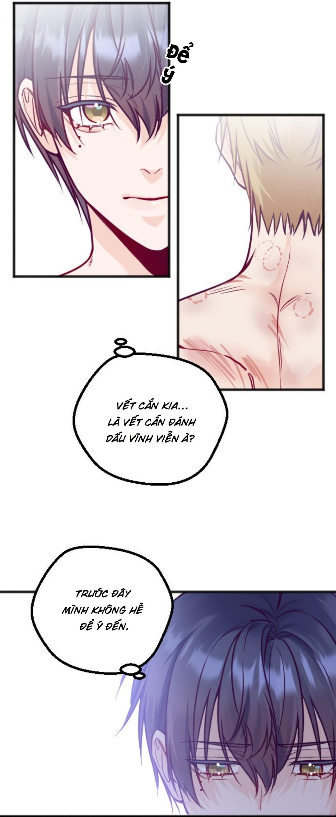 Người Tình Thế Thân Của Alpha Chapter 16 - Next Chapter 17