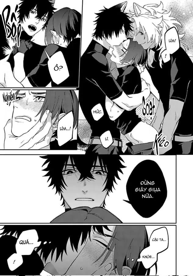 Hai Chú Chó Rắc Rối Chapter 2 - Trang 2