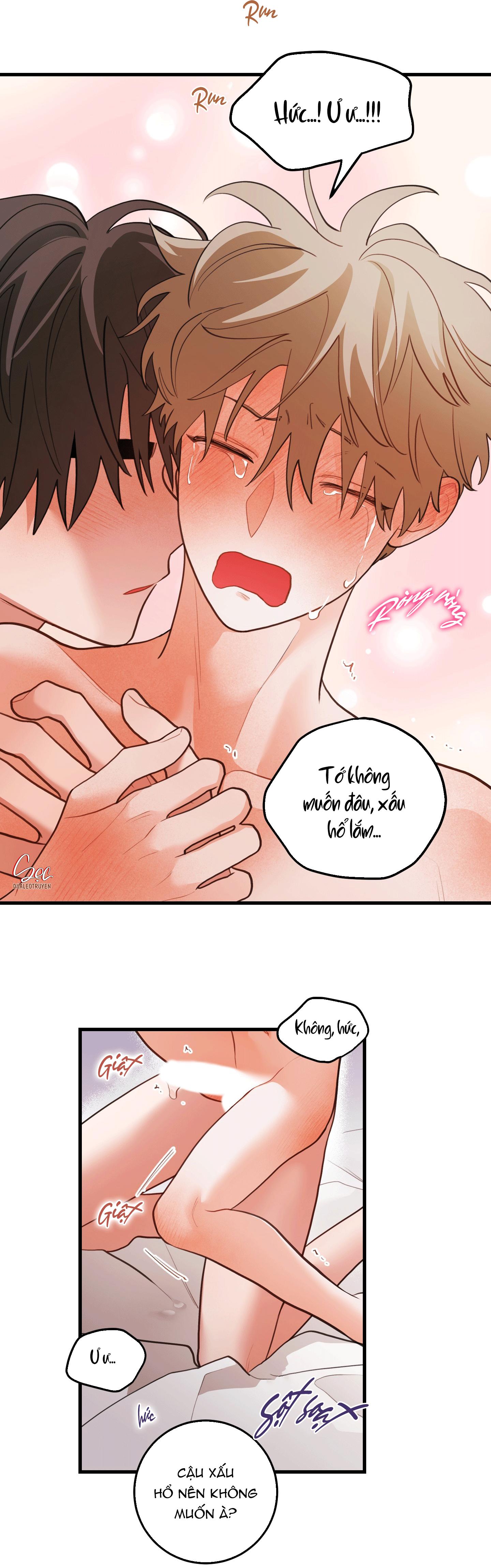 CHUYỆN TÌNH HOA LÊ NỞ Chapter 81 - Next Chapter 82