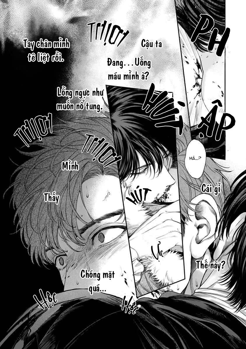Viên Grarnet Trong Bóng Tối Chapter 1 Chap 1 - Next 