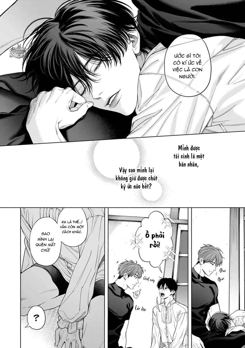 Viên Grarnet Trong Bóng Tối Chapter 4 - Next 
