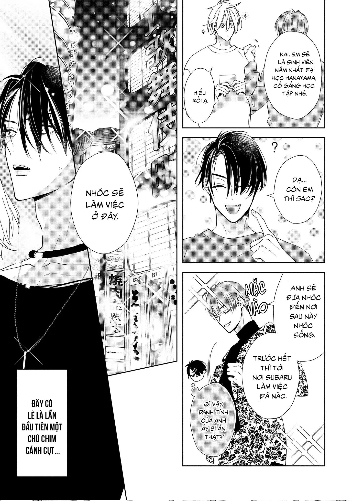 Đêm Diệu Kỳ Chapter 1 - Next 