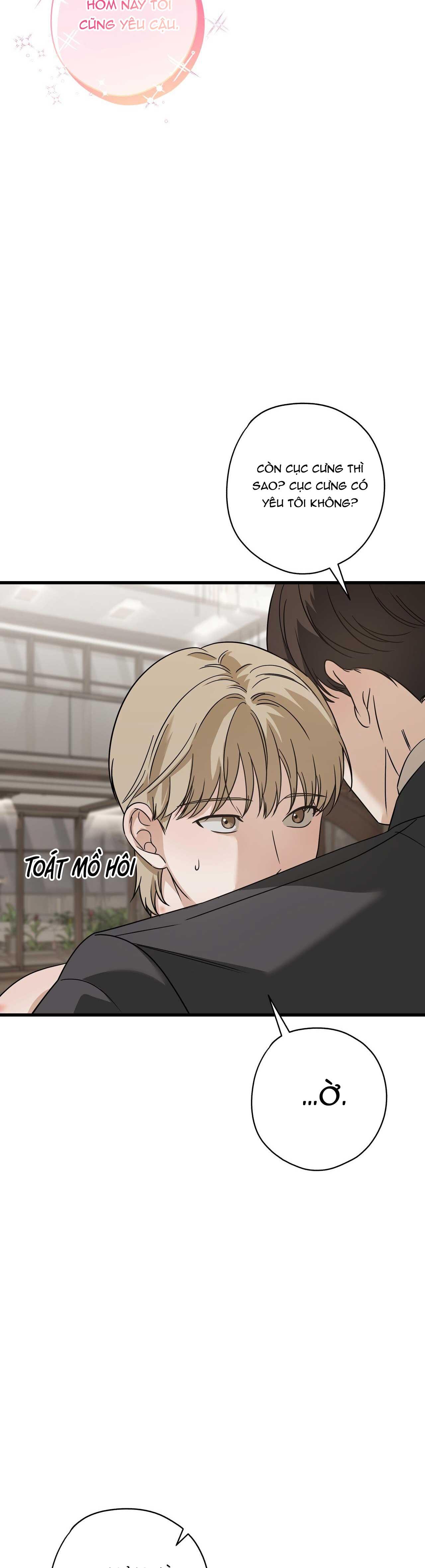 HỢP ĐỒNG KẸO NGỌT Chapter 31 - Next 