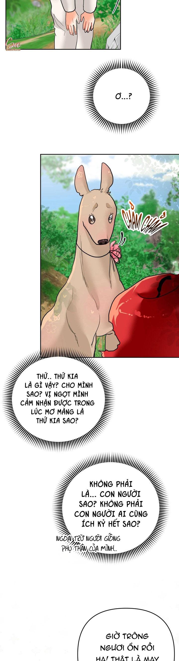 (AxB) OMEGA CỦA ANH TRAI Chapter 17 - Next 