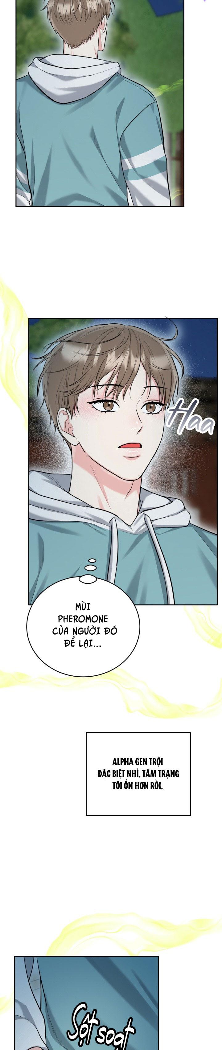 (ABO) HANG HỔ Chapter 63 - Next 