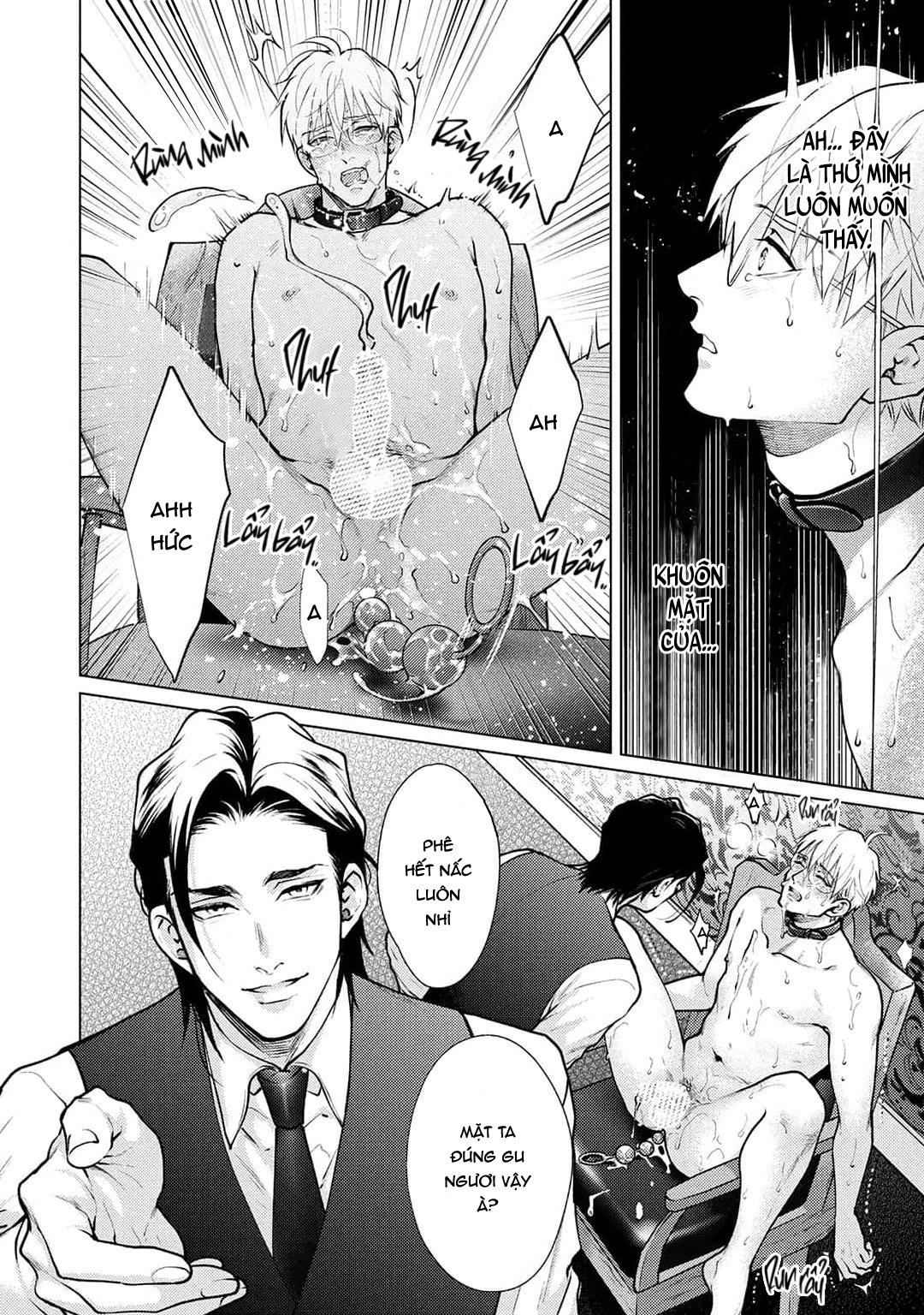 Tình yêu của Caligula Chapter 1 - Next 