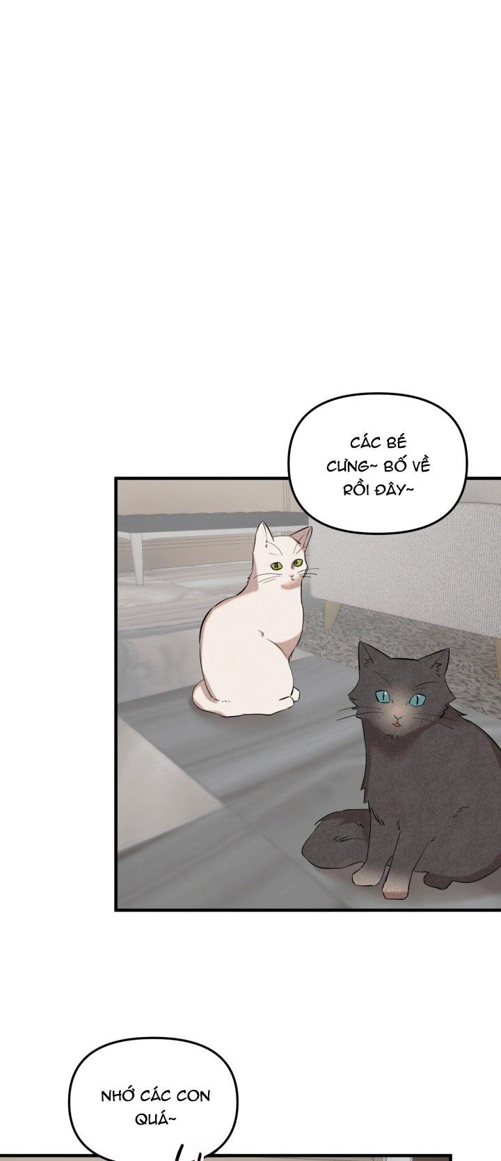 ĐẠI CA DÂM ĐÃNG Chapter 3 - Next 