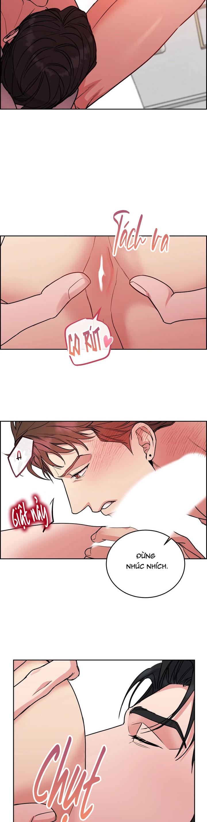 CHÓ VÀ CHIM Chapter 55 - Next Chapter 56 END