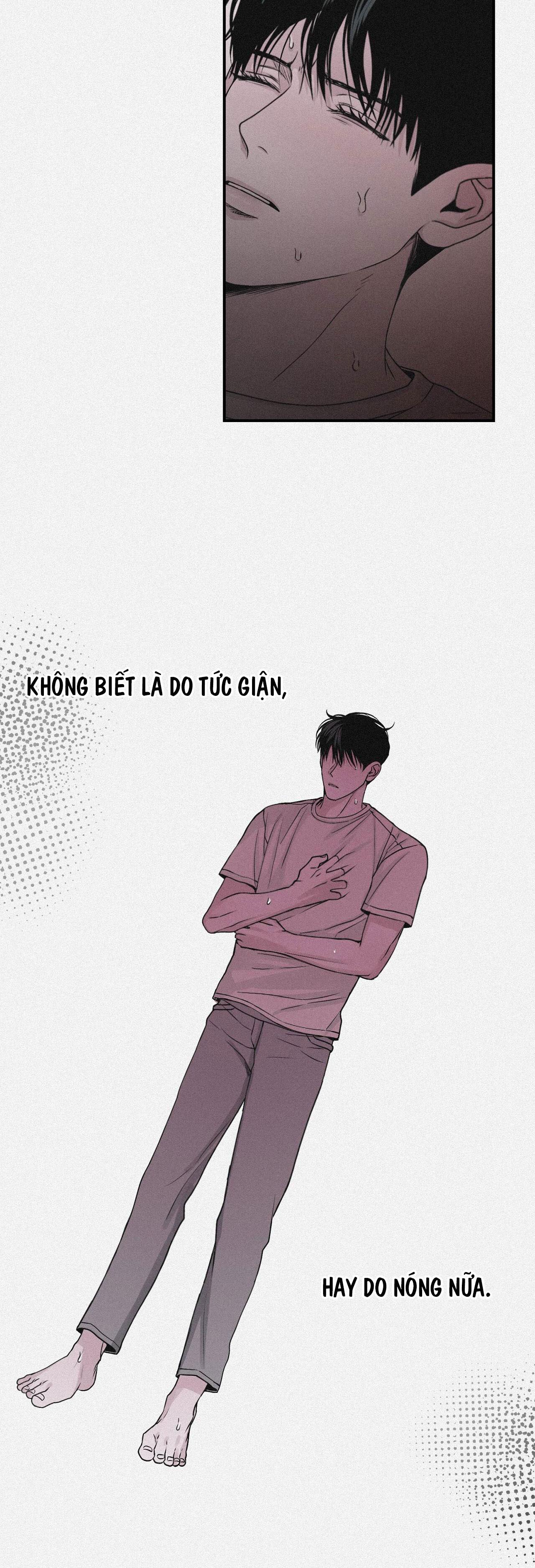 PROJECTION Chapter 37 - Next 