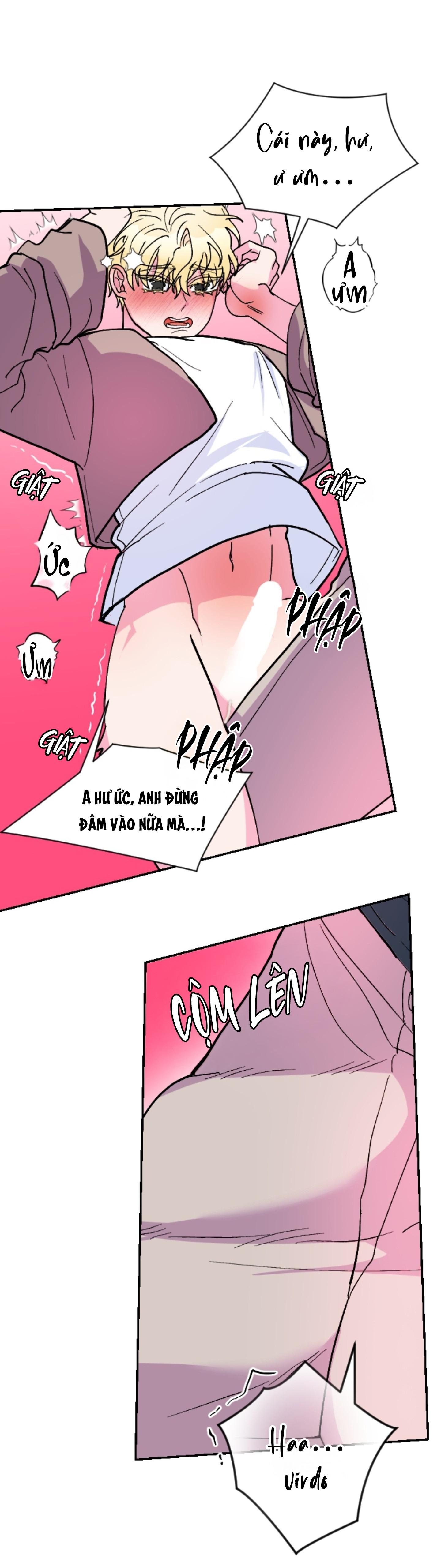 CÁ MẬP VÀ CÔ DÂU THỎ Chapter 55 - Next 