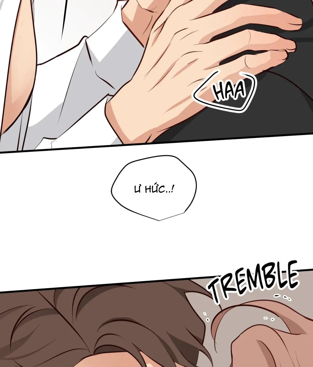 TỔNG HỢP MANHWA BL NGẮN Chapter 5.2 - Next 