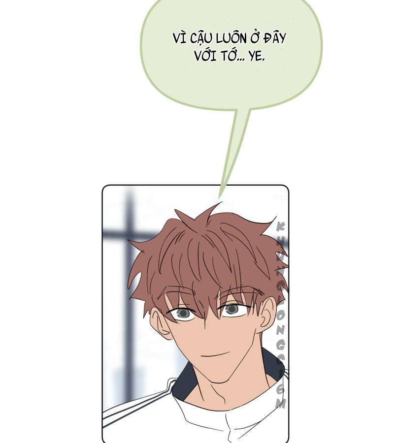 Mãi Mãi Là Bạn Thân Chapter 228 - Next 