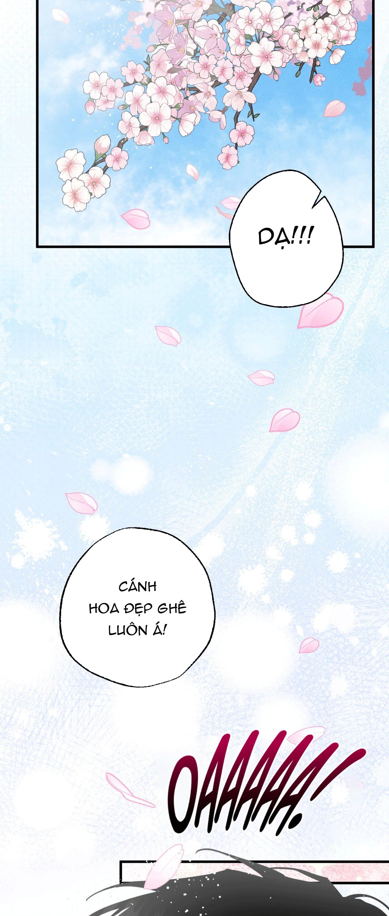 MẮT BÃO Chapter 11 - Next 