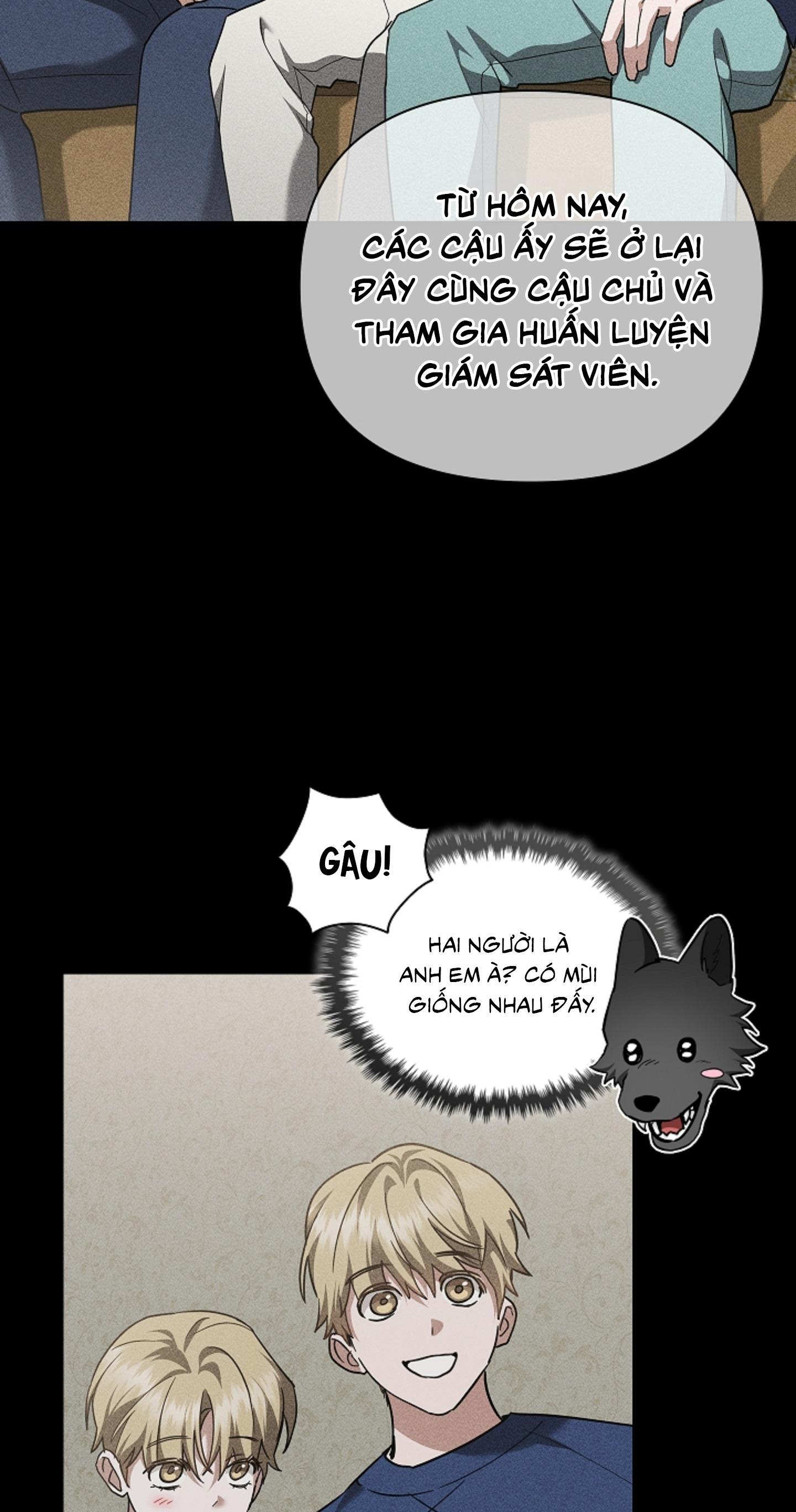 ĐỪNG ĐỘNG VÀO CÚN CON! Chapter 39 - Next 