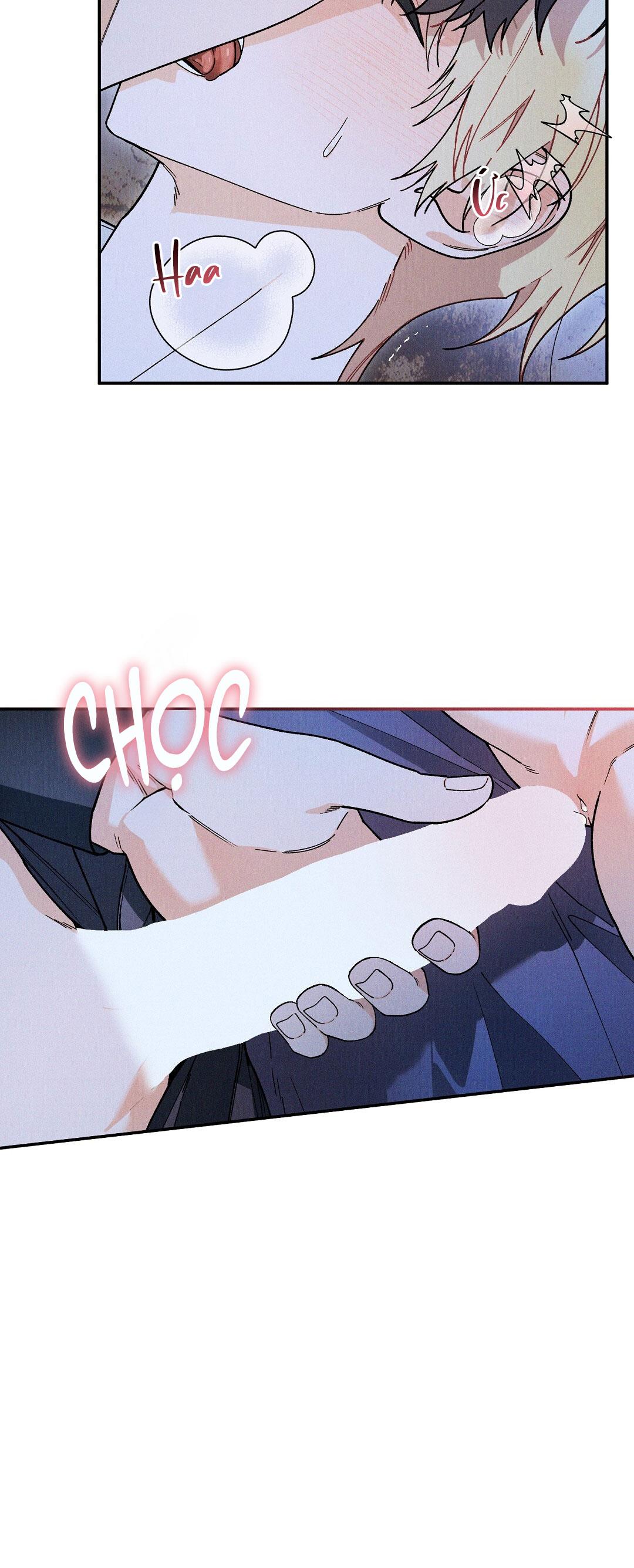 HOÀNG TỬ HƯ HỎNG CHE GIẤU MÌNH LÀ OMEGA Chapter 70 - Next Chapter 71