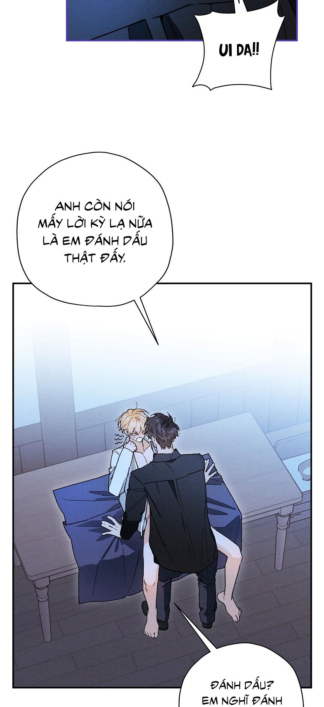 HOÀNG TỬ HƯ HỎNG CHE GIẤU MÌNH LÀ OMEGA Chapter 70 - Next Chapter 71