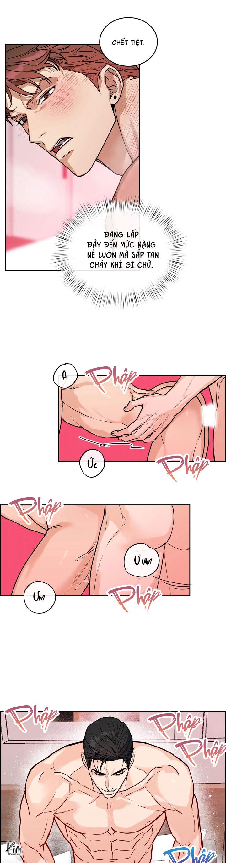 CHÓ VÀ CHIM Chapter 56 END - Next 
