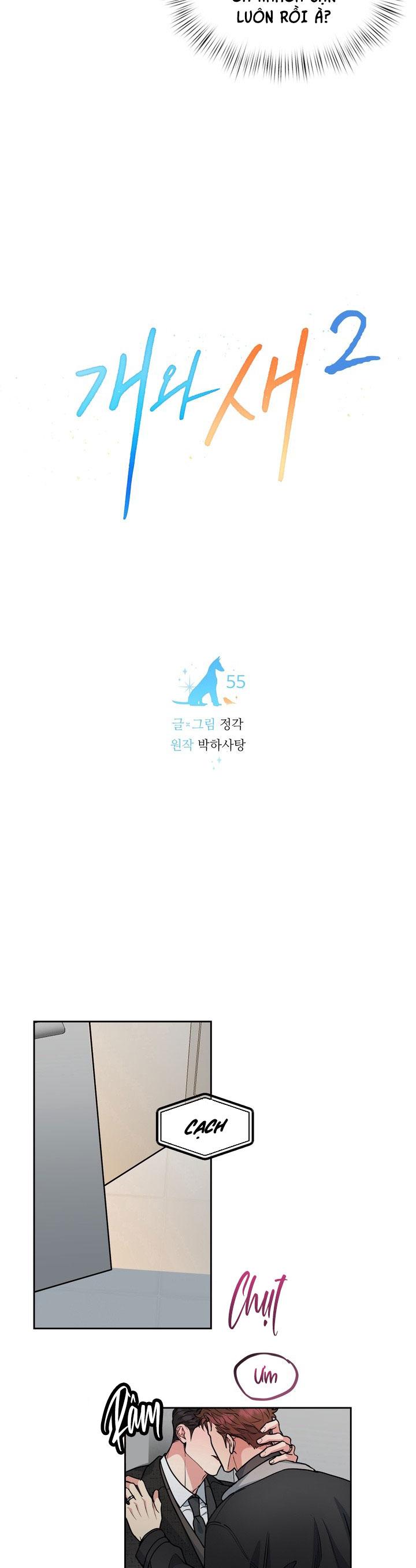 CHÓ VÀ CHIM Chapter 55 - Next Chapter 56 END