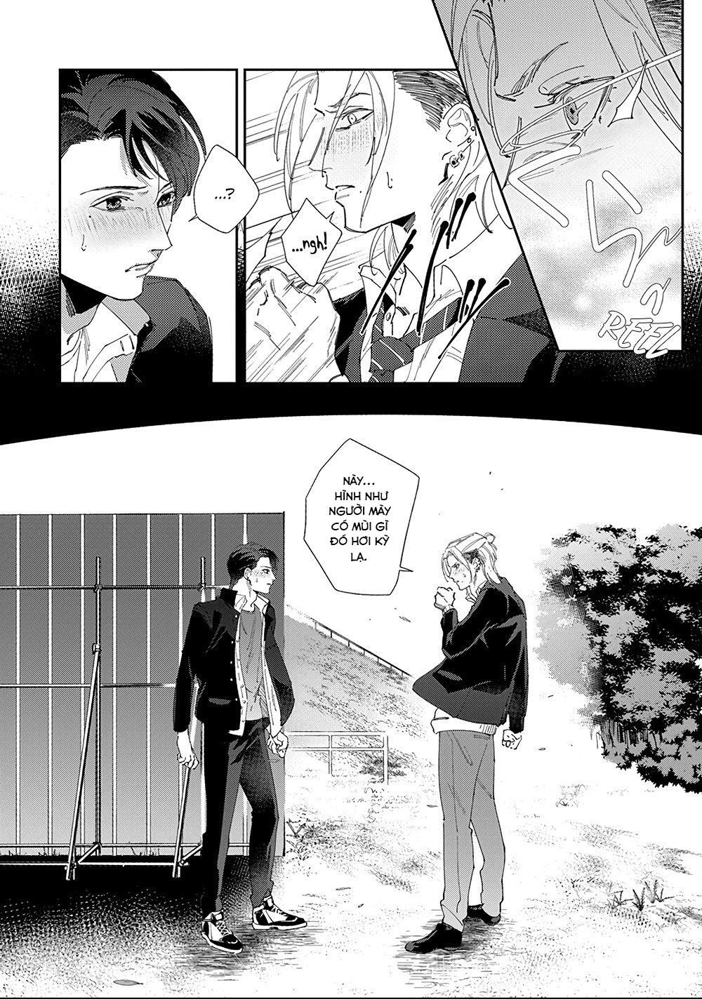 Chuyện Về Cặp Đôi Nhà Shima-chan Chapter 1 - Trang 2