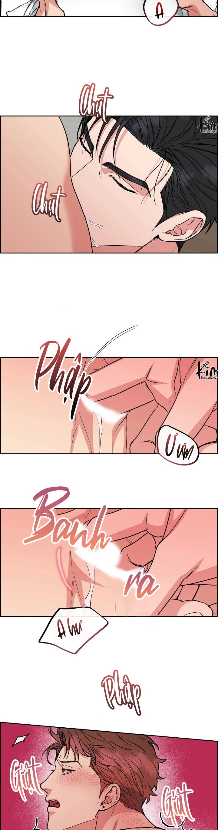 CHÓ VÀ CHIM Chapter 55 - Next Chapter 56 END