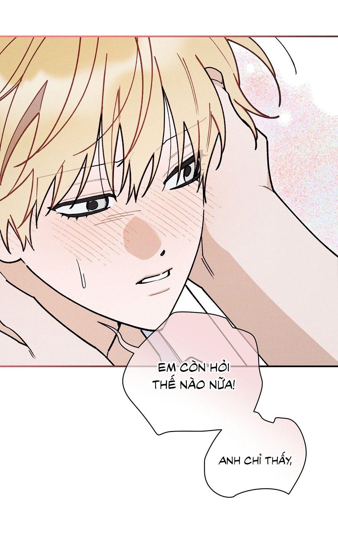HOÀNG TỬ HƯ HỎNG CHE GIẤU MÌNH LÀ OMEGA Chapter 73 - Trang 4