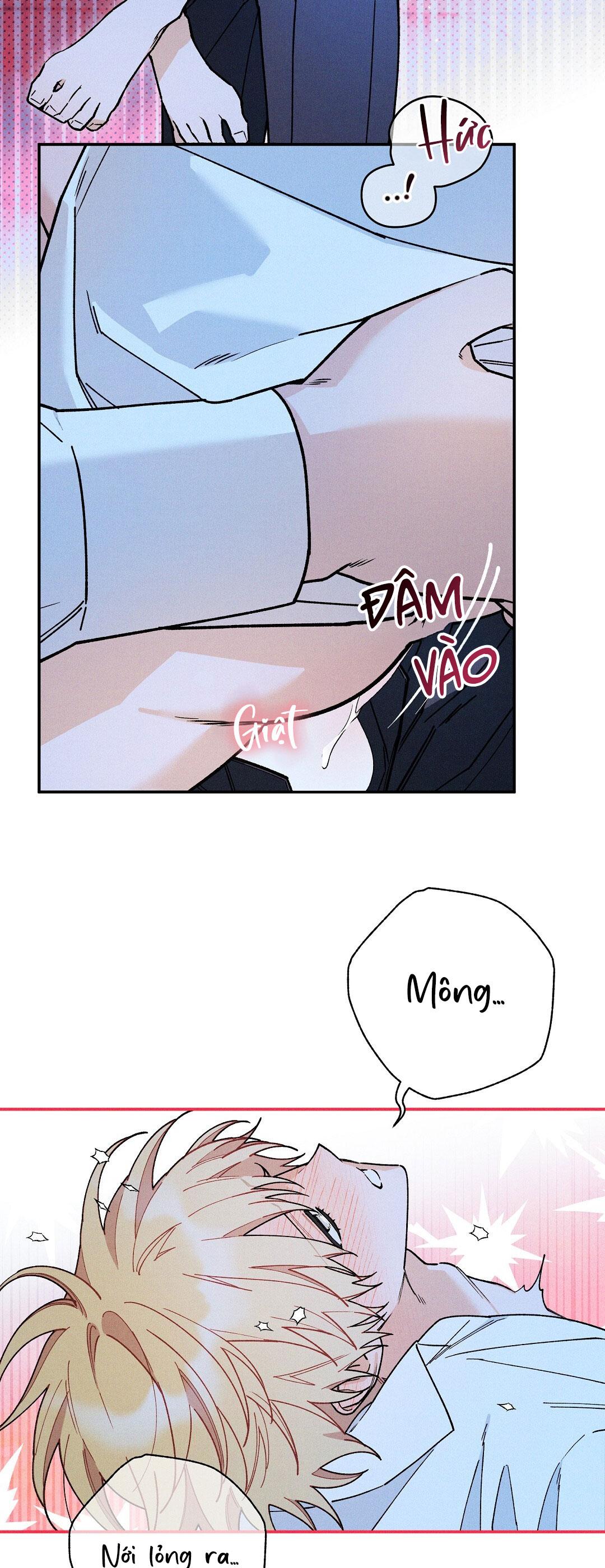 HOÀNG TỬ HƯ HỎNG CHE GIẤU MÌNH LÀ OMEGA Chapter 70 - Next Chapter 71