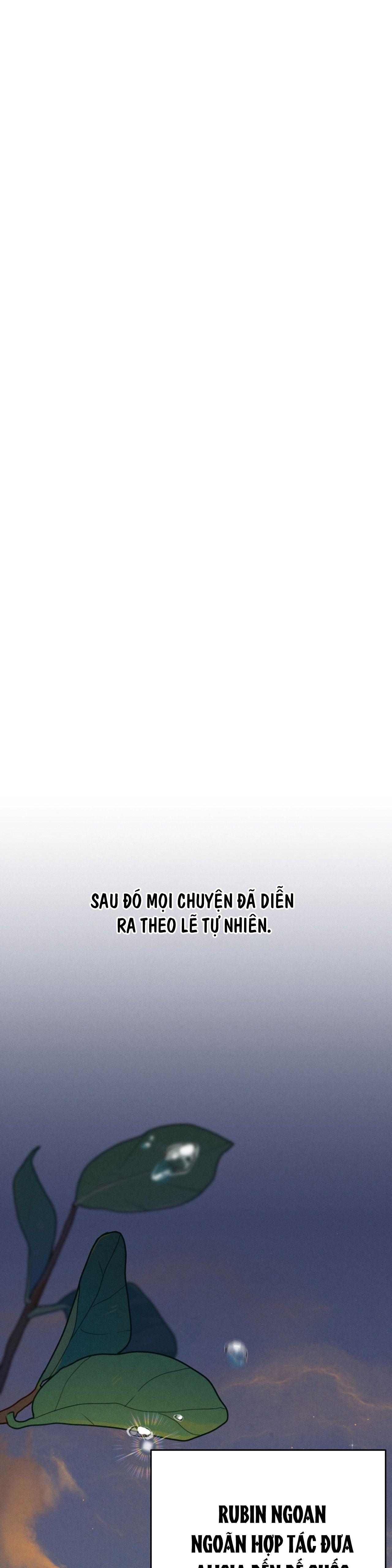 ĐÁM CƯỚI TAI TIẾNG Chapter 33 - Next Chapter 34