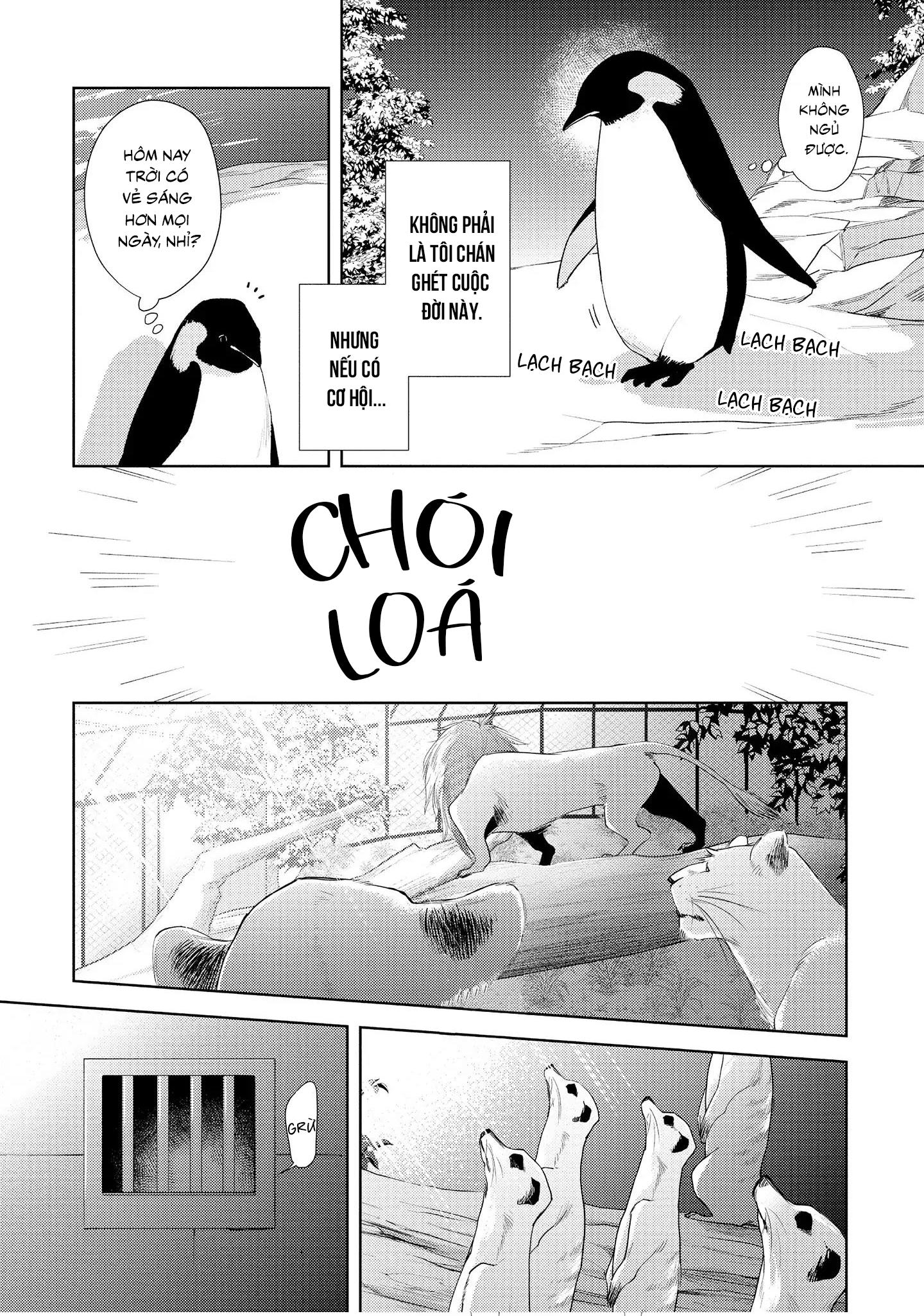 Đêm Diệu Kỳ Chapter 1 - Next 