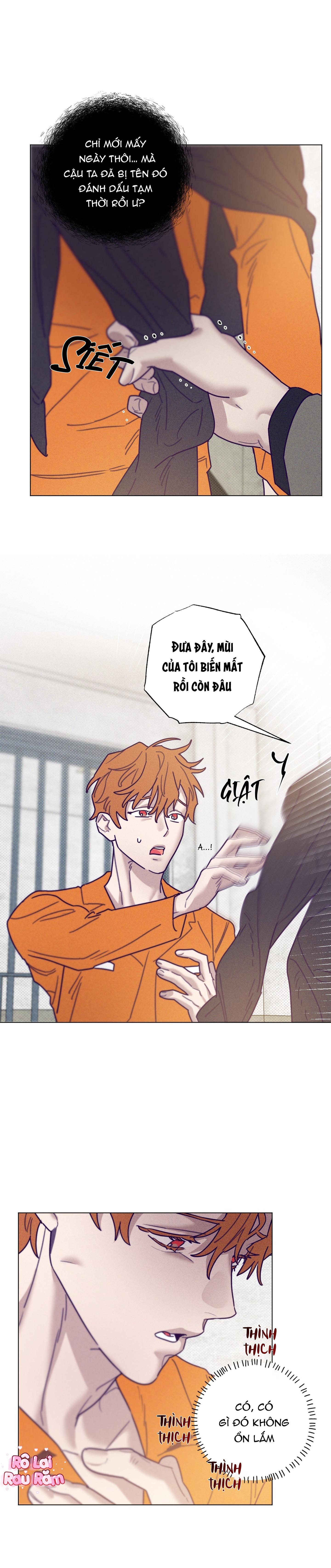 Bữa sáng trong tù Chapter 41 - Next 
