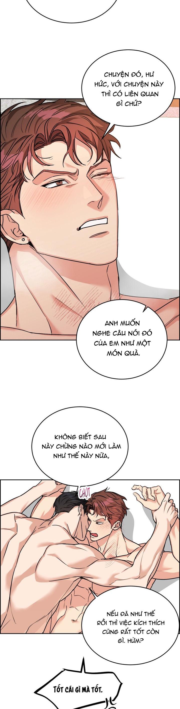 CHÓ VÀ CHIM Chapter 56 END - Next 