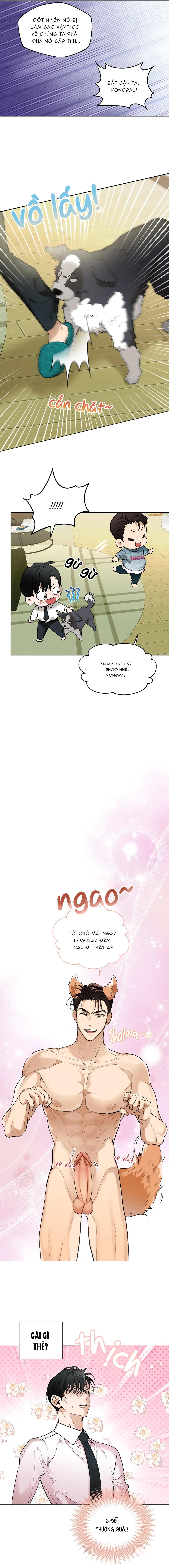 TỔNG HỢP MANHWA BL NGẮN Chapter 2.1 Dog Fur Romance - Next 