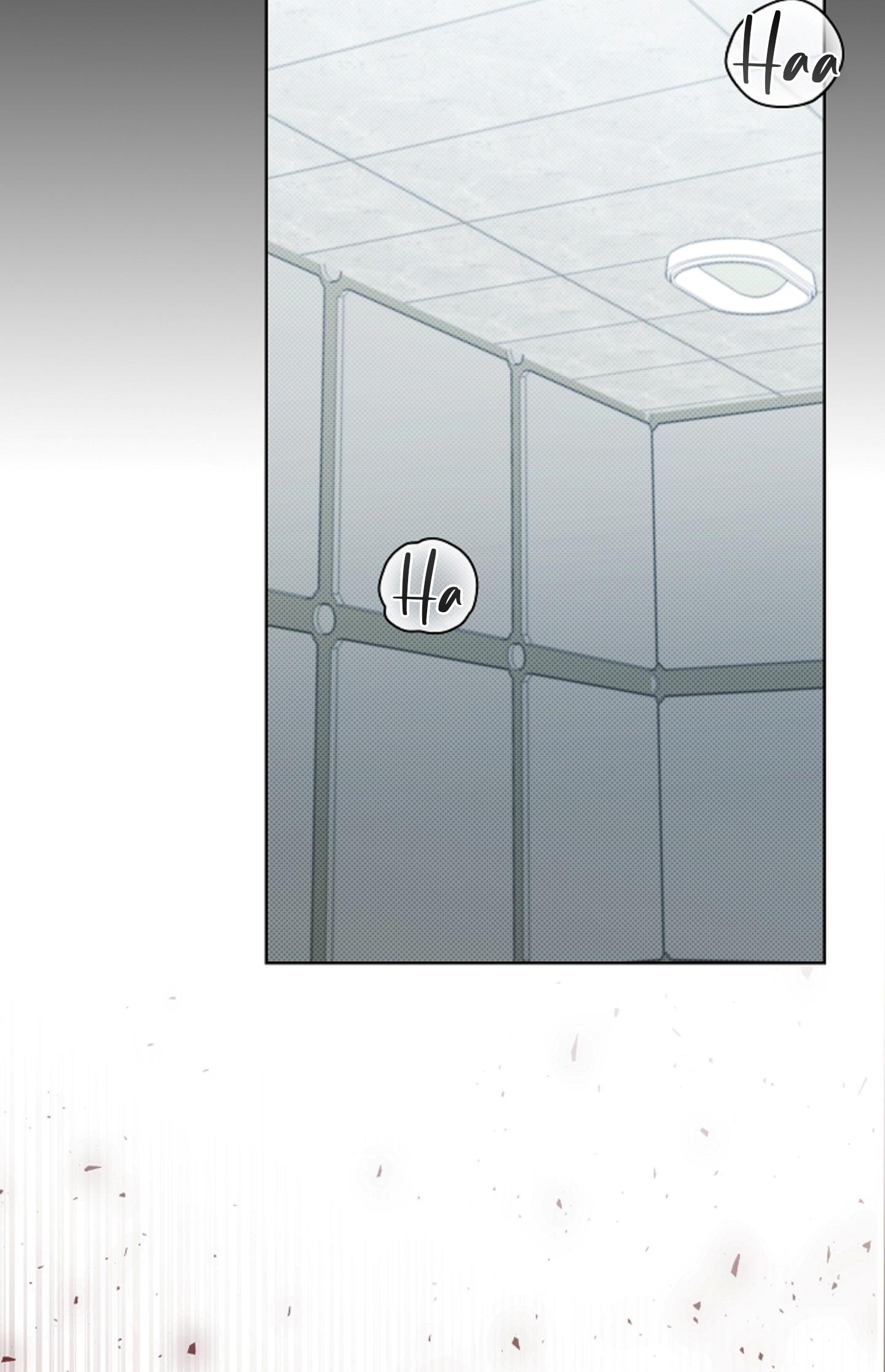 ĐỪNG ĐỘNG VÀO CÚN CON! Chapter 39 - Next 
