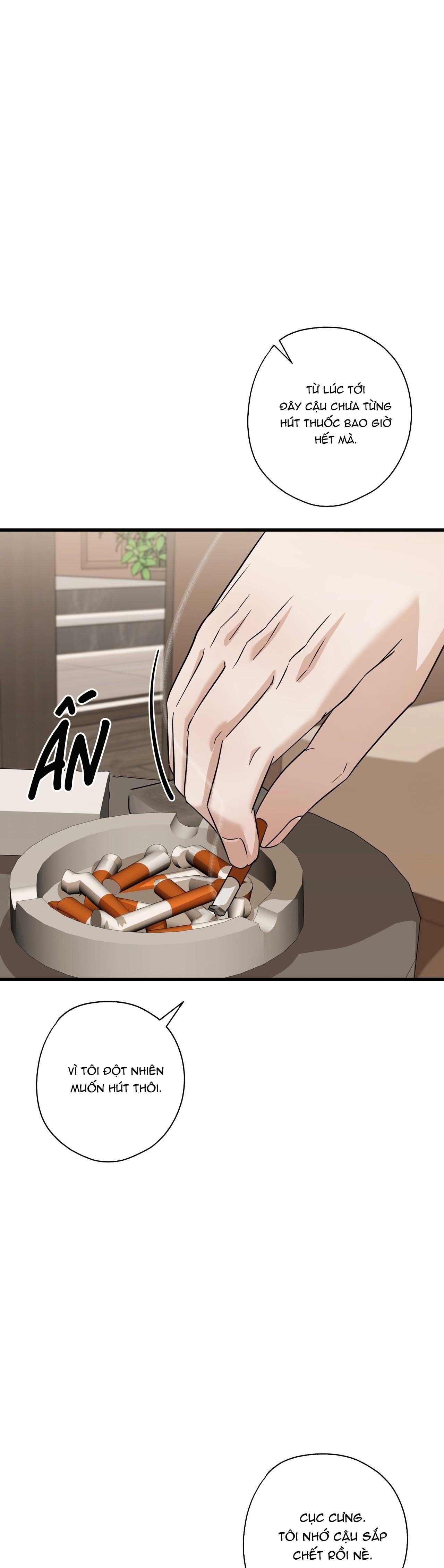 HỢP ĐỒNG KẸO NGỌT Chapter 32 - Next 