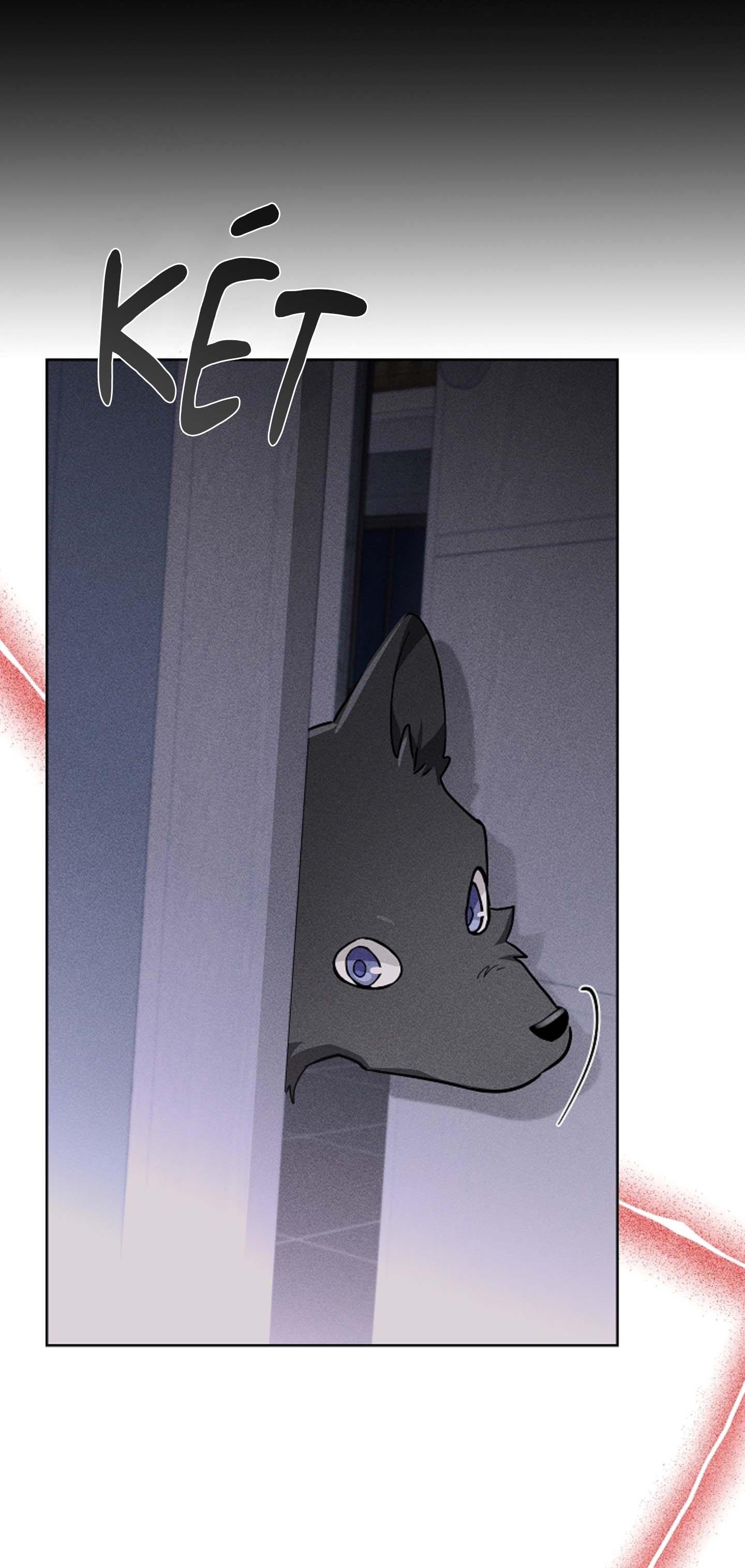 ĐỪNG ĐỘNG VÀO CÚN CON! Chapter 38 - Trang 2