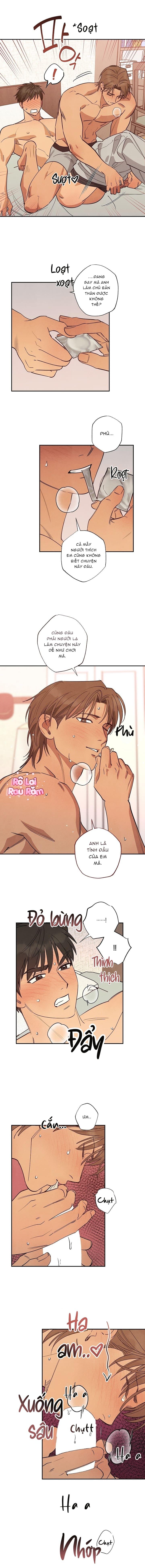 BẢY NGÀY CHỦ NHẬT Chapter 11 - Next Chapter 12
